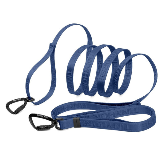 Long blue dog leash with black auto-locking carabiner clips at either end. The middle of the leash is curled 4 times to fit the full length of the leash into the square frame. The background is white.
