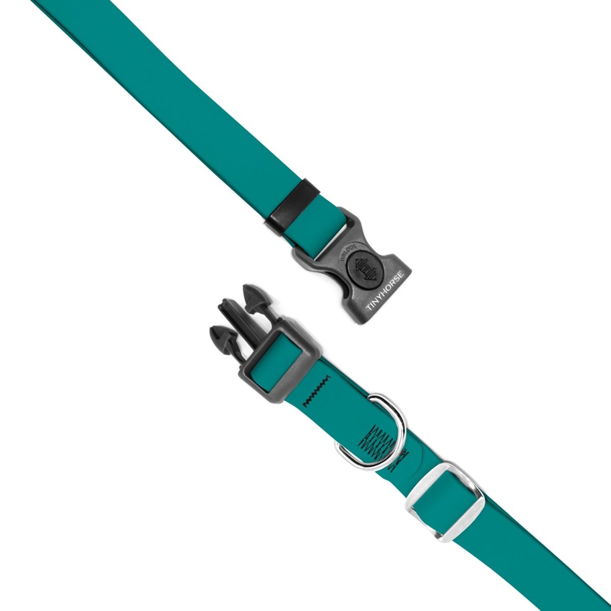 Teal dog collar with grey plastic locking buckle. Adjustable metal slide and dee ring for ID tags.