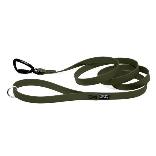 Olive dog leash with a black auto-locking carabiner. Handle is wide open with a silver dee ring attached to it. The leash is looped in 3 curls in the middle and is on a white background.