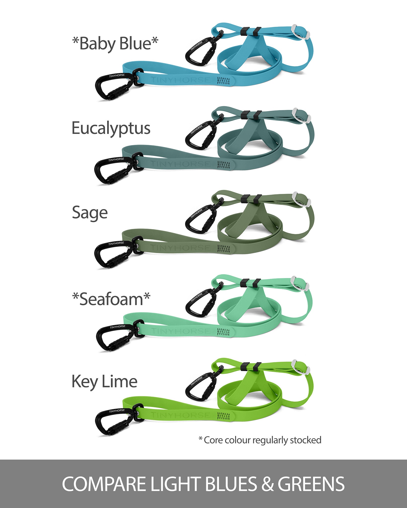 Set of dog leashes in various colors comparing light blues and greens colour options on a white background