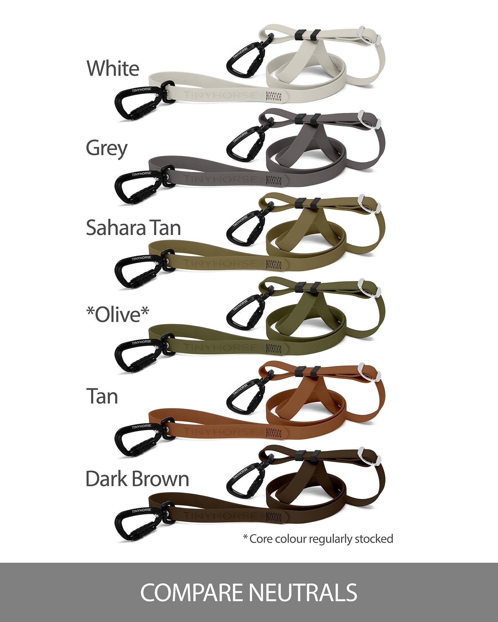 Set of dog leashes in various neutral colors for comparison purposes on a white background