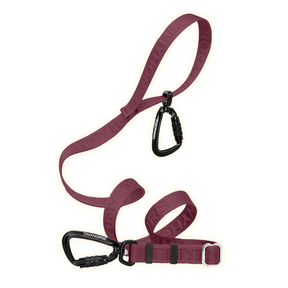 Lead - All Lite Mini (Legacy) - TinyHorse Mercantile