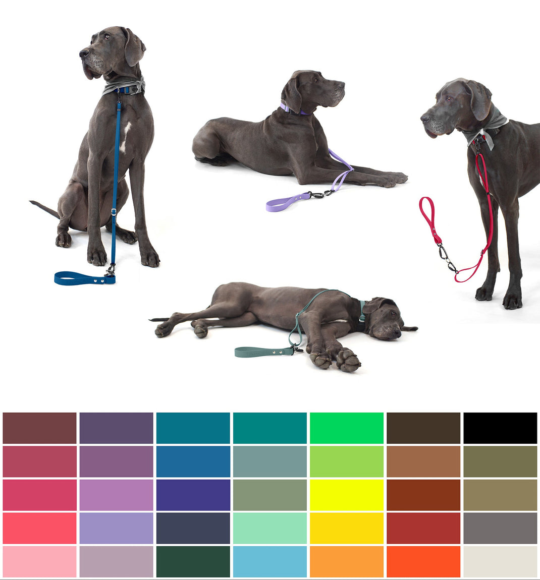 Multi Dog Leash - Walk Multiple Dogs – TinyHorse Mercantile