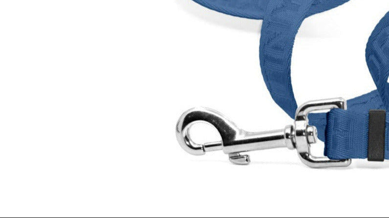 Blue dog leash with a silver clip with a tab that’s pulled down to open the clip on a white background