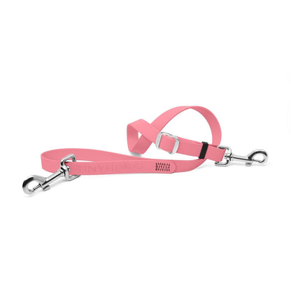 Lead - All Pro - TinyHorse Mercantile