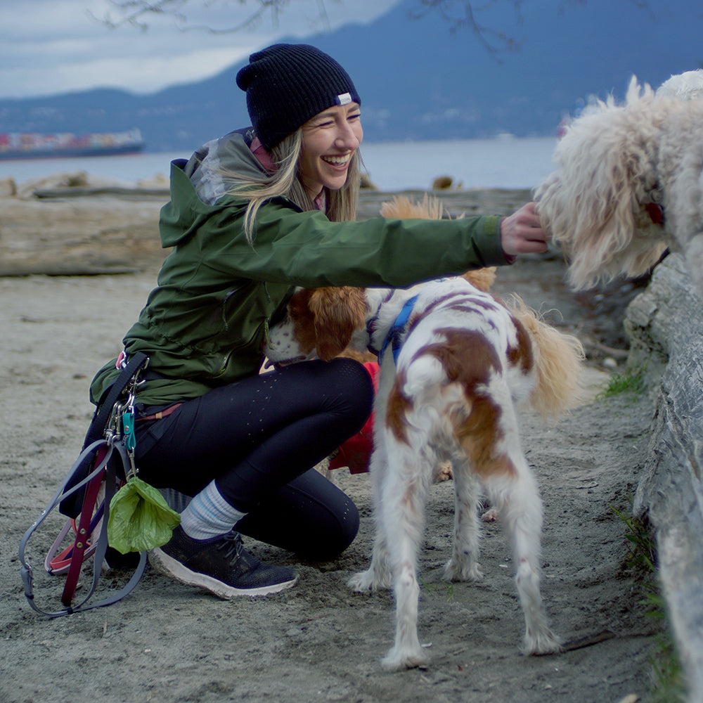 Caucasian female dog walker kneeling in the sand in front of a harbour in Vancouver, BC. Her hand is out stretched to give a while curly-haired dog a treat who is stranding on a log above her. 