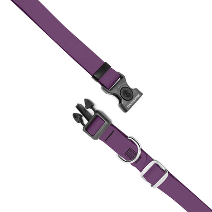 Secure ID Collar Pro —  Custom Colour Order