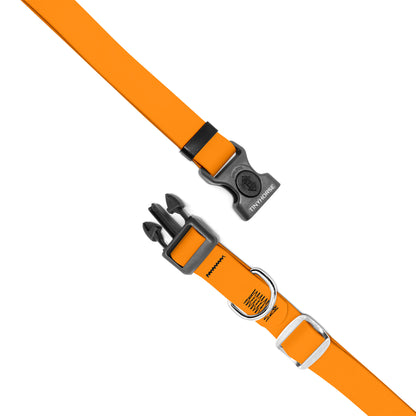 Secure ID Collar Pro —  Custom Colour Order