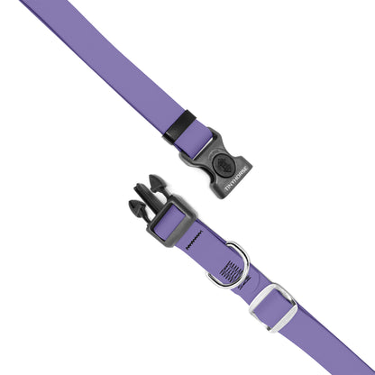 Secure ID Collar Pro —  Custom Colour Order