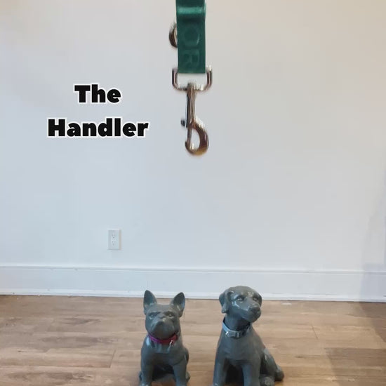 A demonstration of how to walk two dogs hands free using the Handler, a connecting ring and two Lead-All leashes. It’s shown how to clip all the pieces together, that the leashes don’t tangle, that it’s comfortable in your hand. It’s also shown how to adjust the leashes.