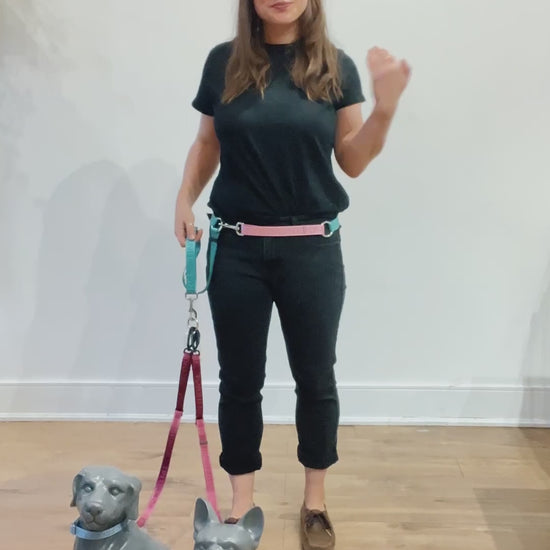 Demonstration of how to switch wearing the leader from around the waist to across the chest. This dog walking belt is multi-functional. Here it’s shown being used for walking two dogs tangle free.