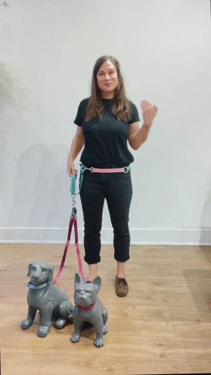 Demonstration of how to switch wearing the leader from around the waist to across the chest. This dog walking belt is multi-functional. Here it’s shown being used for walking two dogs tangle free.