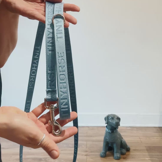 Demonstration of the Solo lite, a classic six-foot dog leash with a roomy handle and dee ring for hanging accessories. It’s made of nylon webbing and branded with the “TinyHorse” logo on both sides.