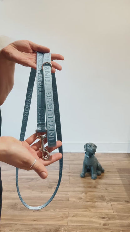 Demonstration of the Solo lite, a classic six-foot dog leash with a roomy handle and dee ring for hanging accessories. It’s made of nylon webbing and branded with the “TinyHorse” logo on both sides.