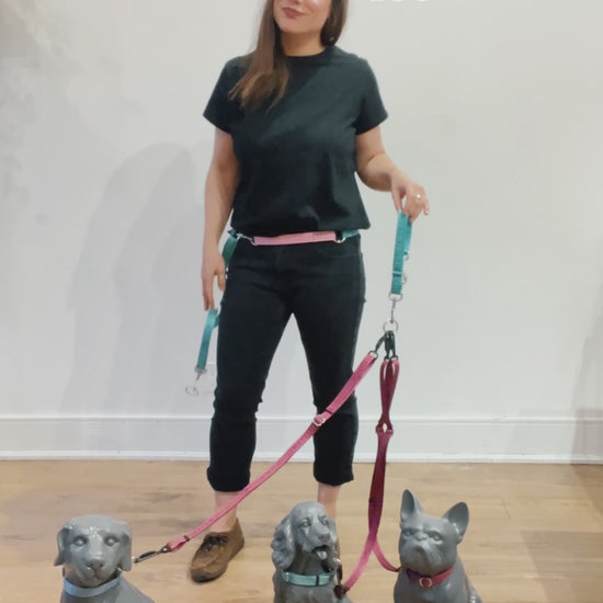 Demonstration of how to switch the wearing the Leader from around your waist to across your chest.  It’s adjustable and is the basis for attaching more dog walking gear so you can walk multiple dogs.