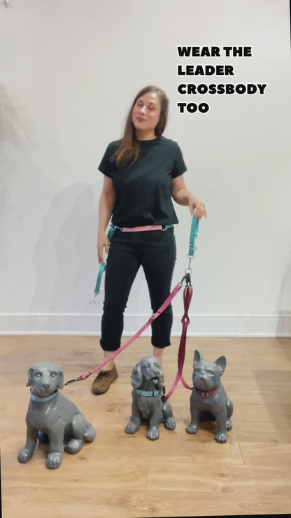 Demonstration of how to switch the wearing the Leader from around your waist to across your chest.  It’s adjustable and is the basis for attaching more dog walking gear so you can walk multiple dogs.