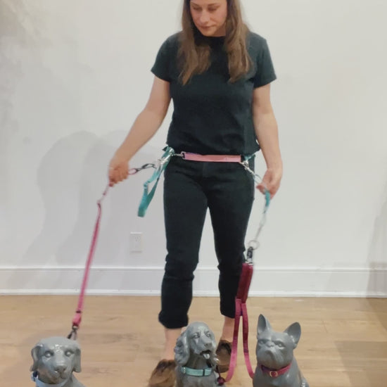 Demonstration of how you can easily switch how dogs are walked in groups and how you wear your TinyHorse gear to walk multiple dogs. This is a very versatile multi-leash system for walking multiple dogs.