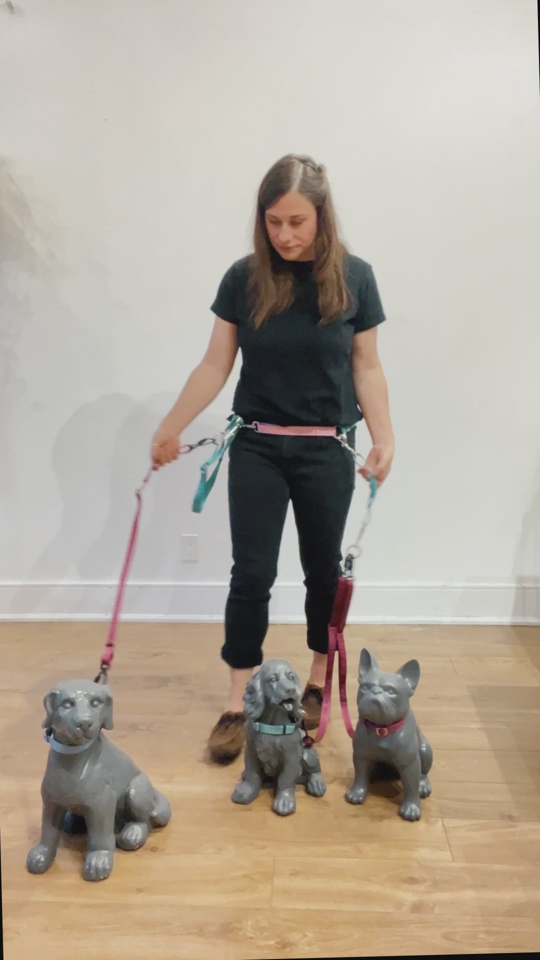 Demonstration of how you can easily switch how dogs are walked in groups and how you wear your TinyHorse gear to walk multiple dogs. This is a very versatile multi-leash system for walking multiple dogs.