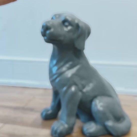 Demonstration of the Secure ID collar. It has a plastic locking speed buckle. It’s shown how to toggle the locking mechanism off and on. How to adjust the collar’s size by moving the adjusting slide is also shown.