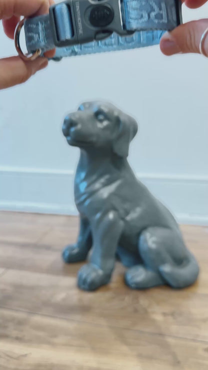 Demonstration of the Secure ID collar. It has a plastic locking speed buckle. It’s shown how to toggle the locking mechanism off and on. How to adjust the collar’s size by moving the adjusting slide is also shown.