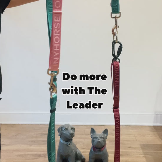 Demonstration of how to wear the Leader, TinyHorse’s adjustable dog walking belt. It’s demonstrated how to wear it, how to clip in leashes to talk two dogs and where all the handles are. 