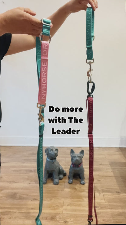 Demonstration of how to wear the Leader, TinyHorse’s adjustable dog walking belt. It’s demonstrated how to wear it, how to clip in leashes to talk two dogs and where all the handles are. 